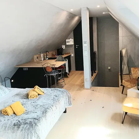 Διαμέρισμα L'ecrin De Velours Elegant-paisible Rosheim