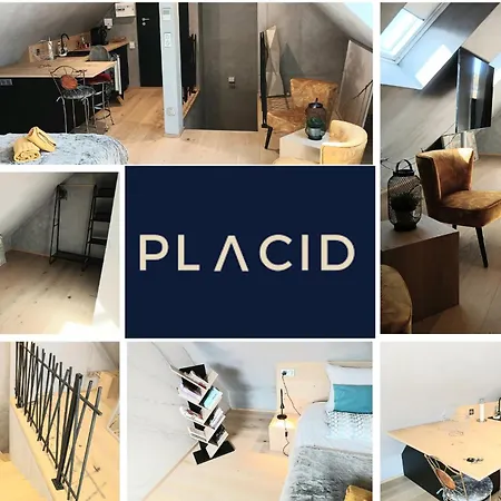 L'ecrin De Velours Elegant-paisible ロスハイム